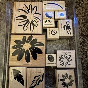 Stampin Up! Retired 2000 Definitely Decorative Daisy • Set of 13 • Used